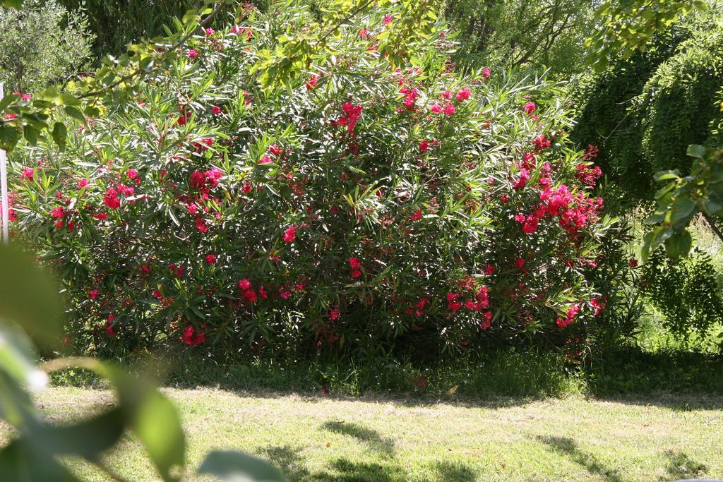 Villa Hanna Combas  Esterno foto